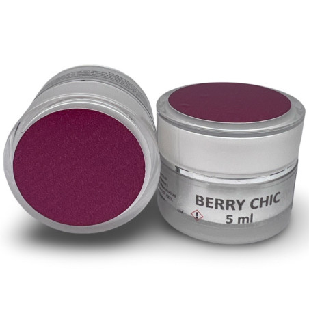 Colour Gel – BERRY CHIC